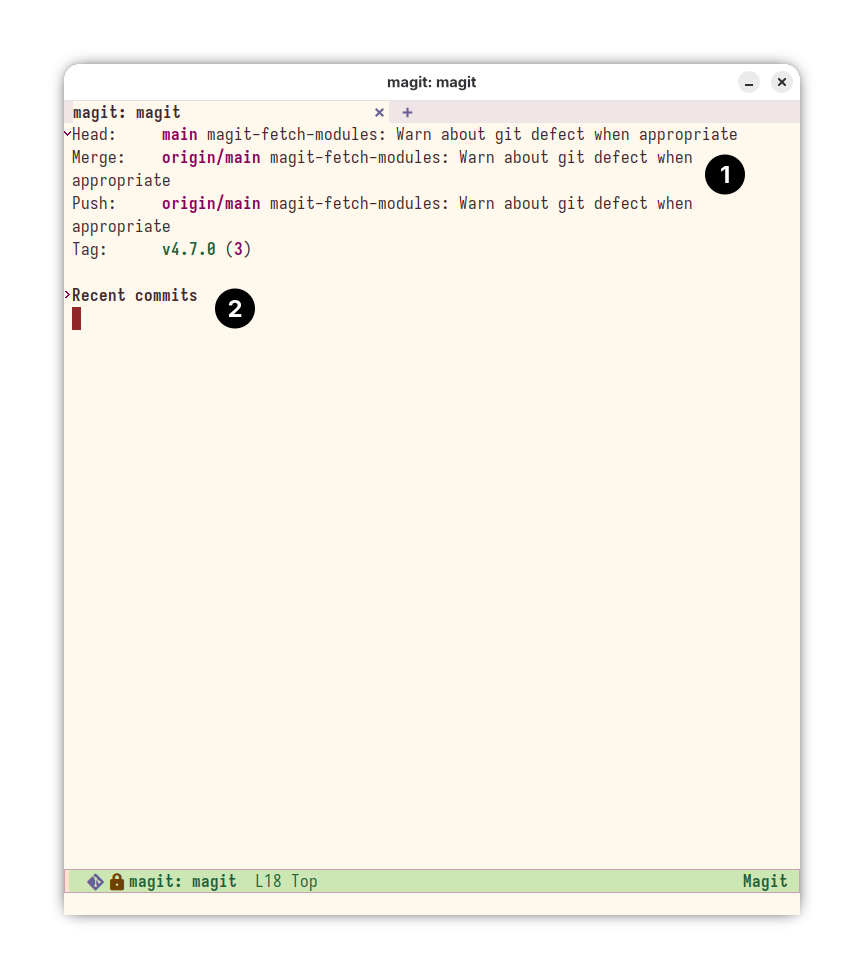 Magit Status interface